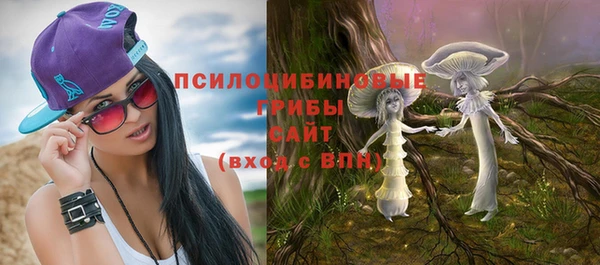 MDMA Premium VHQ Каменка