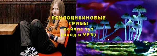 COCAINE Каменногорск