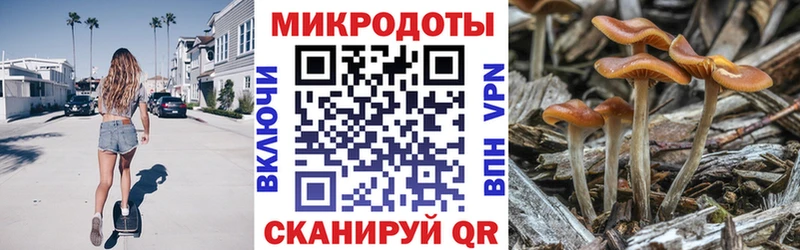 Галлюциногенные грибы Magic Shrooms  Клин 