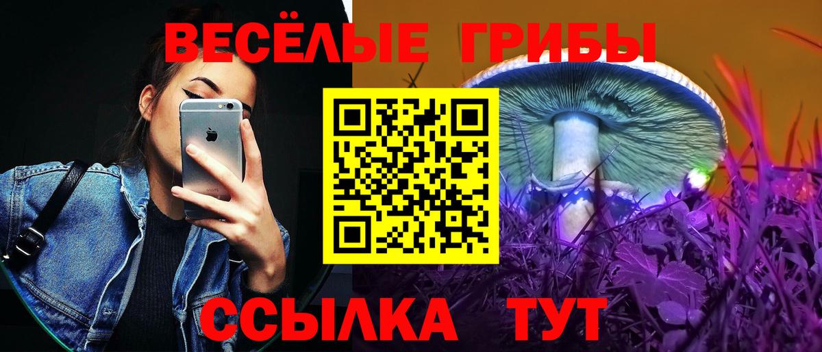 Псилоцибиновые грибы прущие грибы Клин