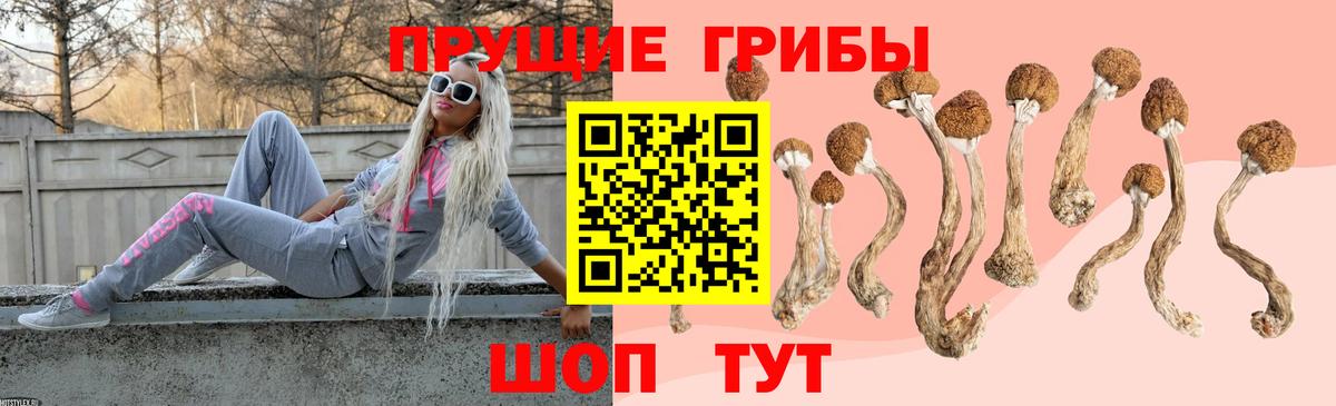 Клин  Галлюциногенные грибы MAGIC MUSHROOMS  Вход с VPN 